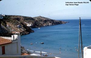 CAP FALCON 3